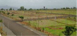 50-200 Yard Residential Plots For Sale in Pilkhuwa